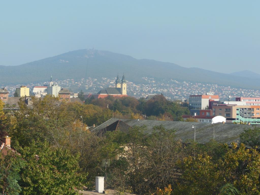 Penzion Premona Nitra Pokój zdjęcie